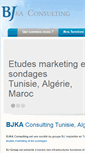 Mobile Screenshot of bjka-consulting.com